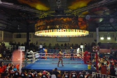 Thaïlande, Phuket, Patong, Muay thai stadium