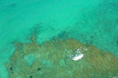 Tunisie, Djerba, vue aérienne mer turquoise coté Yati beach