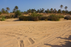 Tunisie, Djerba piste sable de buggys et quads