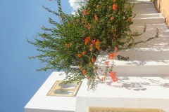 Tunisie, Hammamet Nabeul, maison