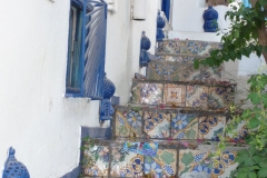 Tunisie, Sidi Bou Saïdn marches d'escalier en carrelage typique