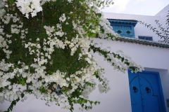 Tunisie, Sidi Bou Saïd, maison porte bleue