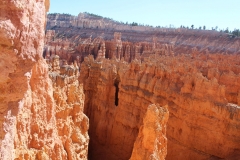 USA, Côte ouest, Bryce Canyon