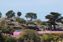 USA, Côte ouest, route côtière vers Carmel