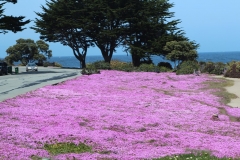 USA, Côte ouest, route côtière vers Carmel