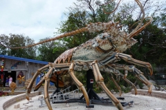 Floride, USA, Marathon Key, langouste géante