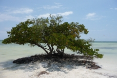 Floride, USA, les Keys, les plages et la mer