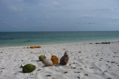 Floride, USA, Marathon Key, Sombrero beach, la plus belle plage secrète de Marathon