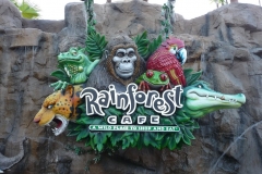 Floride, USA, Orlando, parc Disney, Rainforest Café