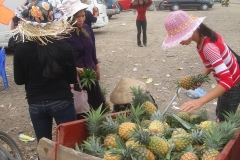 Vietnam, vendeuse d'ananas