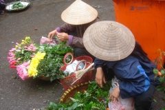 Vietnam, vendeuse de fruits