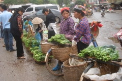 Vietnam, vendeuses de légumes et d'herbes aromatiques