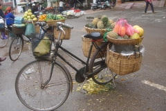 Vietnam, vente de fruits sur un vélo