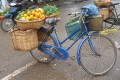 Vietnam, vente de fruits sur un vélo