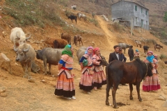 Vietnam, Laos, femmes hmong