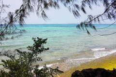 Zanzibar - Prison island -plage