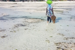 Zanzibar - Jambiani femme culture algues