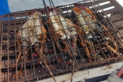 Zanzibar - langoustes grillées aau BBQ