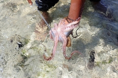 Zanzibar - Jambiani - lagon pêche poulpe