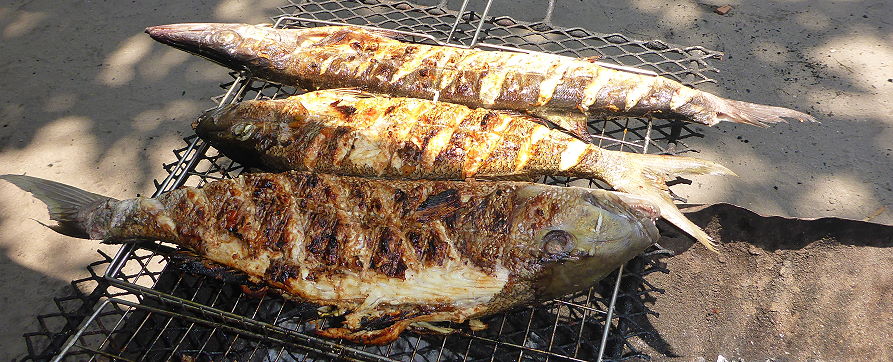 BBQ de barracudas à l'ilot Saint Pierre