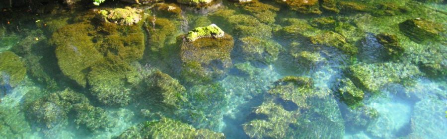 Xel Ha, éco parc de la Riviera Maya, Mexique