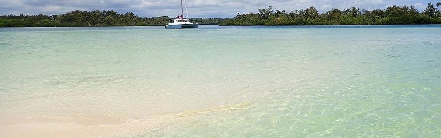 Ile aux Cerfs Maurice langue de sable