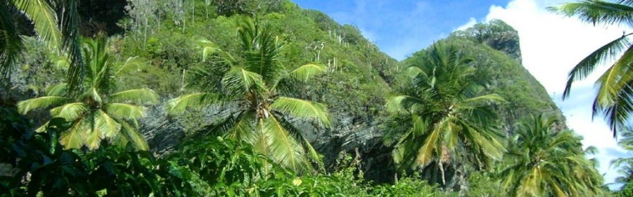 Jungle Las Galeras République Dominicaine