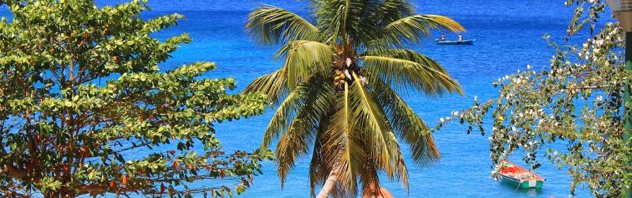 Martinique, maisons toits rouges