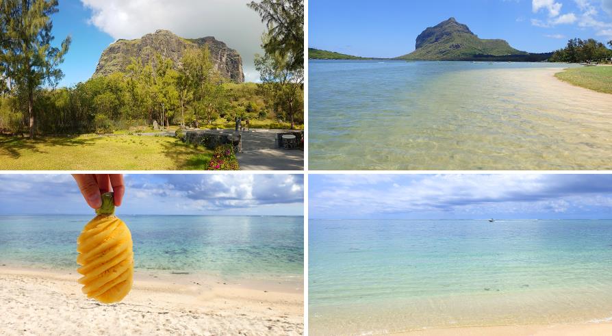 Morne Brabant de l'île Maurice