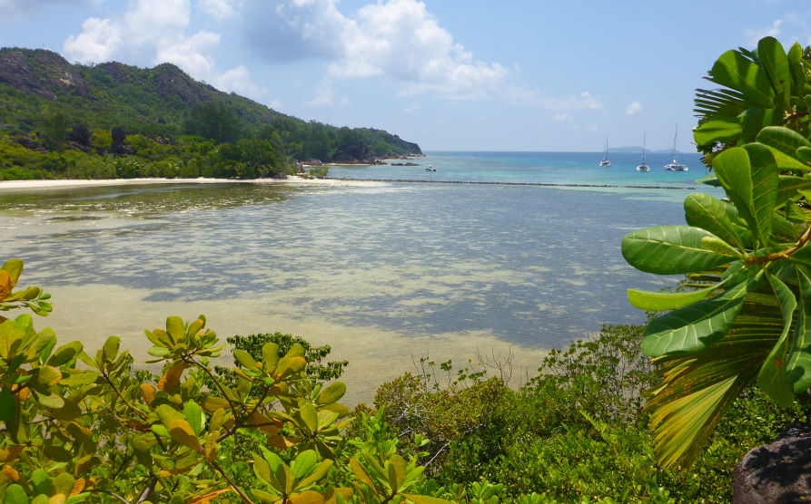 Turtle pond ile Curieuse Seychelles