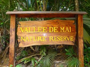 Vallée de Mai, Praslin, Seychelles