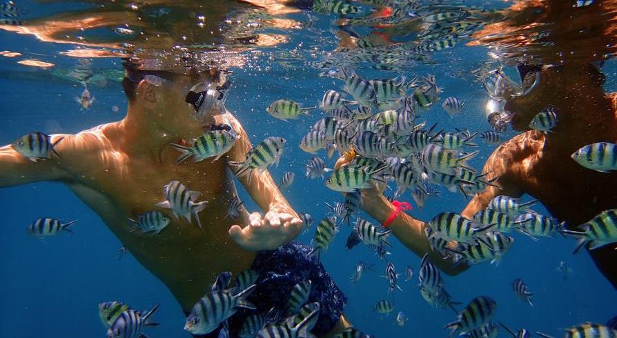 Snorkeling à Koh Tao et Koh Nang Yuan, Thaïlande, Laurent VANDJOUR avec Timothé VANDJOUR