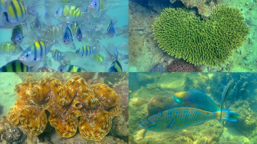 Snorkeling lagon, Koh Hong island, Krabi, Thaïlande