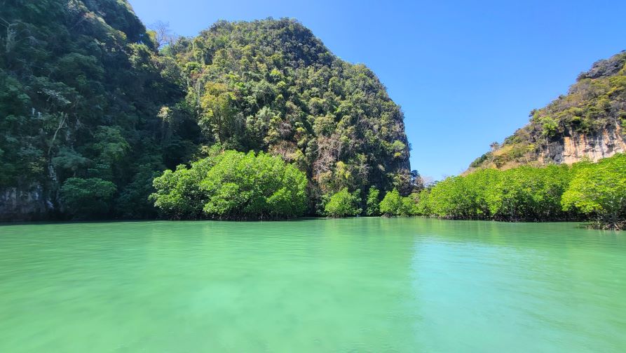 Mangrove de Pileh lagoon, Koh Hong island, Krabi, Thaïlande