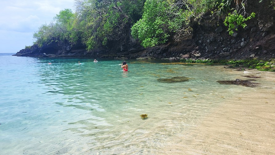 Martinique, plage Anse Dufour