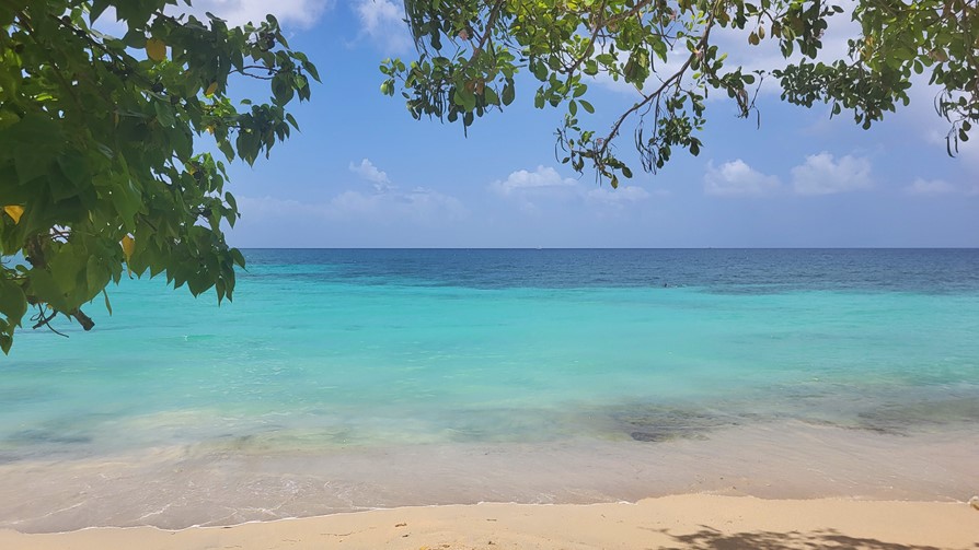 Martinique, plage Anse Figuier