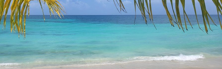 Martinique, plage Anse Figuier