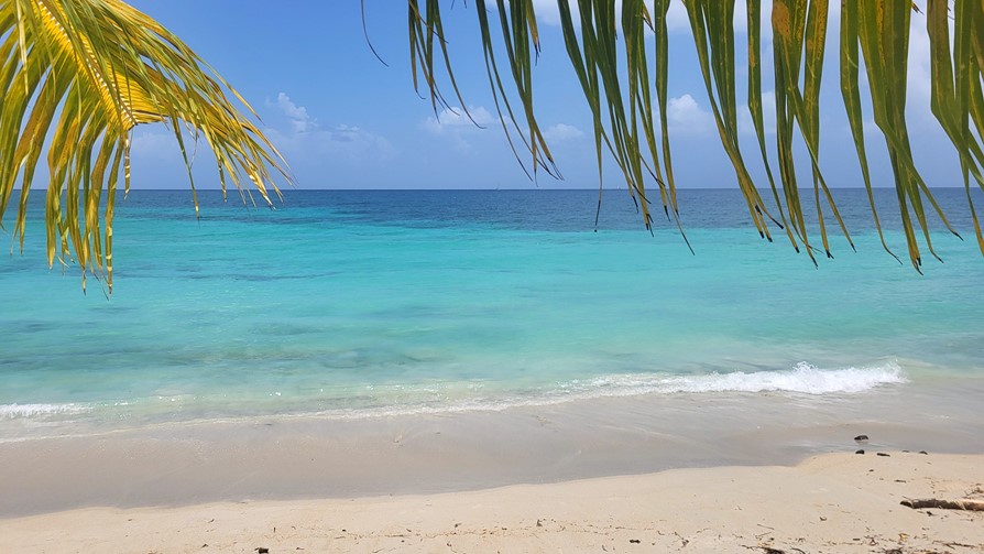 Martinique, plage Anse Figuier