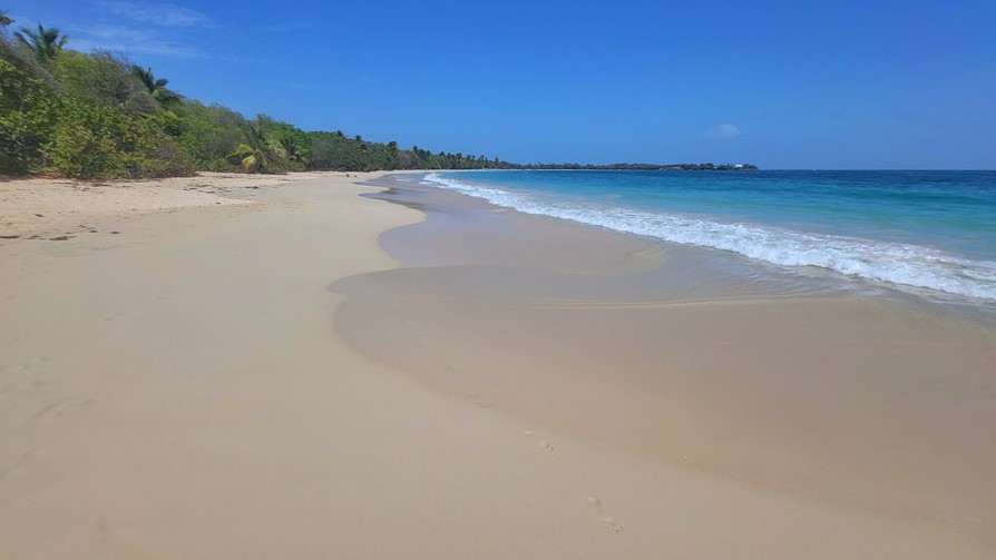 Martinique, plage des Salines