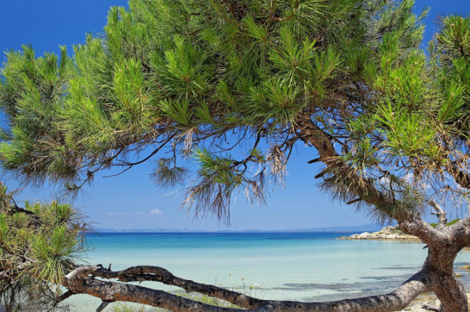 Belle plage de Kassandra, Halkidiki en Grèce