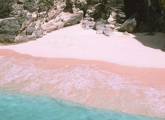 Plage de sable rose Coral Pink Sand Beach à Harbour Island Bahamas