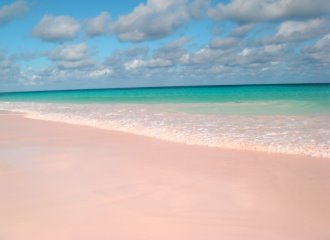 Plage de sable rose Coral Pink Sand Beach  Harbour Island Bahamas