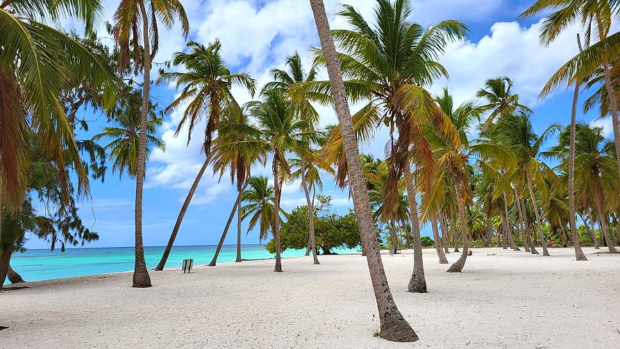 Isla Saona, plage Canto de la playa avec cocotiers