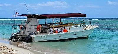 Saona motomaran bateau rapide 200 chevaux