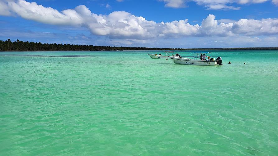 Piscine naturelle à las palmillas, Saona excursion