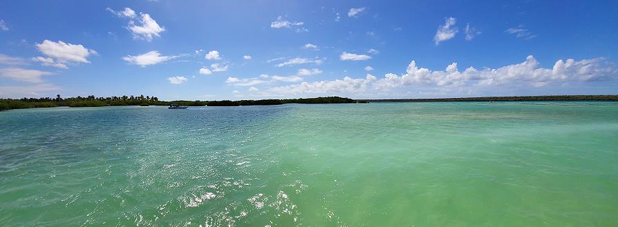 Isla Saona, Punta palmillas