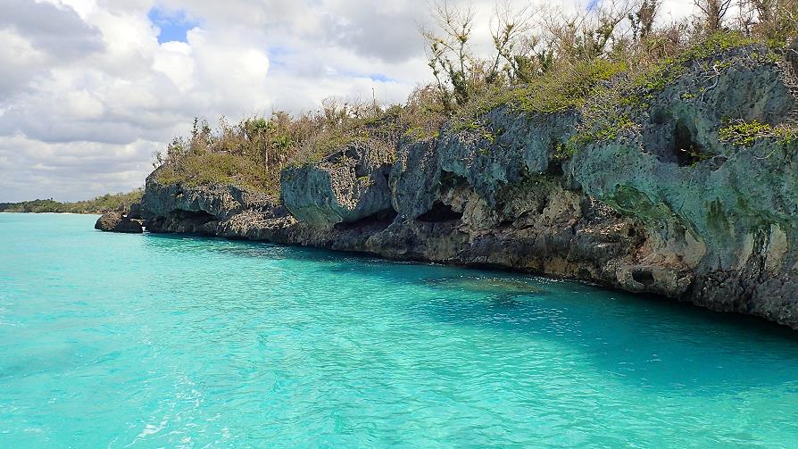 Isla Saona, roches karstiques