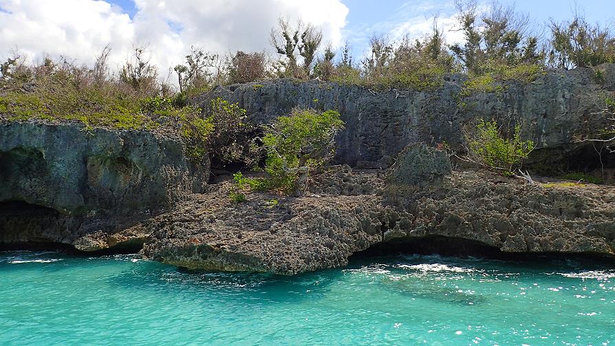 Isla Saona, rochers karstiques