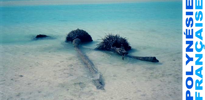 l'atoll privé Tetiaroa