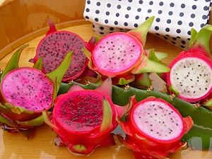 Fruit du Dragon - fruit exotique